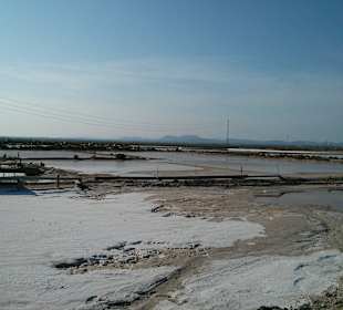Salinen