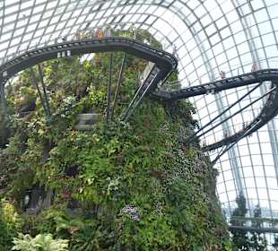 "The Dome" im Gardens by the Bay