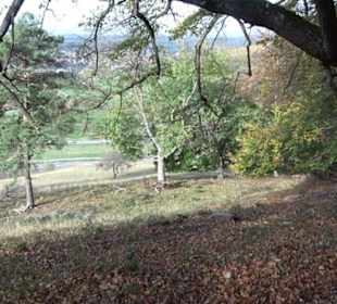 Premiumwanderweg hochgehkeltert Neuffen