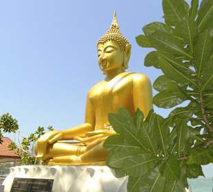 Buddha am Tsunami Denkmal