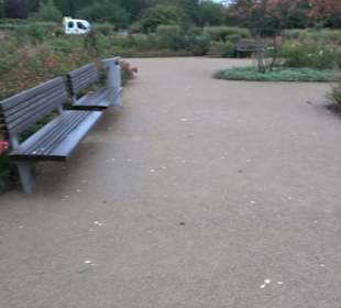Rosengarten