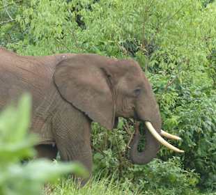 Ganz in unserer Nähe...