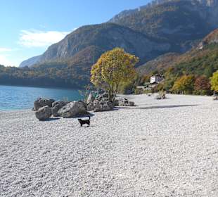 Molvenosee