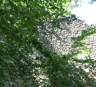 Burg Hölnstein Stetten u. Holstein