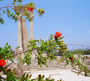 Apollon Hylates Heiligtum