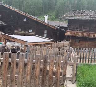 Bilderbuch-Bauernhof