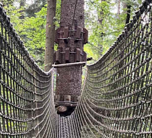 Waldklettergarten Atreenalin Dornstetten-Hallwange