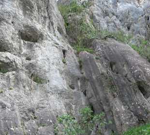 Wanderung rund um das Rusenschloss Gerhausen