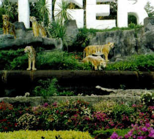 Eingang zum Tigerzoo