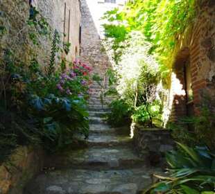 Impressionen aus Castelnou