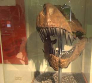 Niedersächsisches Landesmuseum