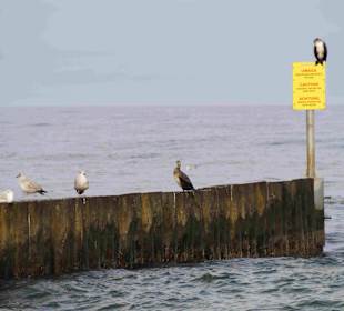 Strand Kolberg/Kolobrzeg