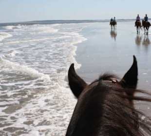 Reite mit den Pferden am Strand