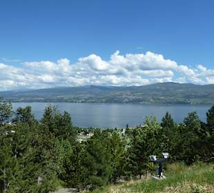 Aussicht von der Mission Hill Winery