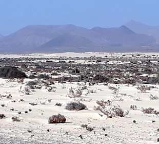 Dünen von Corralejo