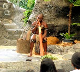 Tjapukai Aboriginal Culture Park