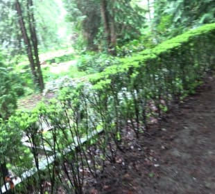 Stadtfriedhof Bad Waldsee
