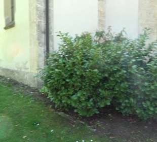 Evangelische Kirche Magolsheim