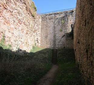 Burgruine Neuscharfeneck