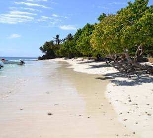Bacardi Insel