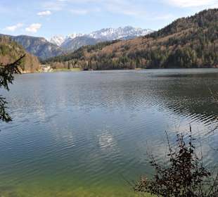 Schöner Spaziergang am See