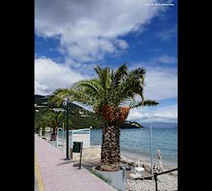 Strand Ipsos