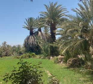 Taroudant und Tiout 