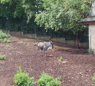 Zoo Wrocław