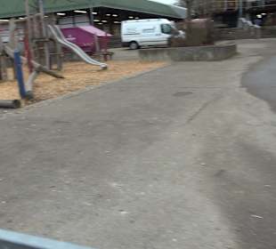 Theodor-Eisenlohr Sporthalle