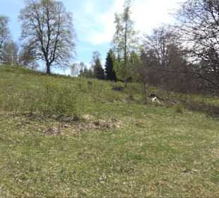 Premiumspazierwanderweg - Hochgehhütet