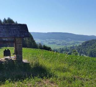 Blick zum Stradner Kogel