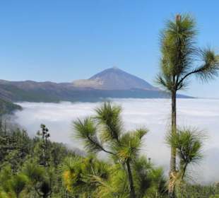 Über den Wolken der Teide