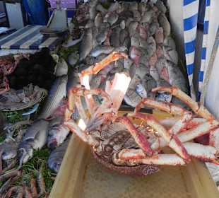 Essaouira owoce morza