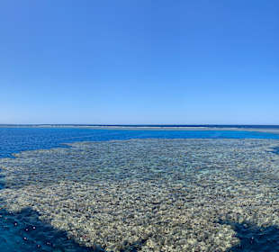 Schnorcheln Marsa Alam