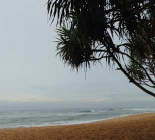 Induruwa Beach