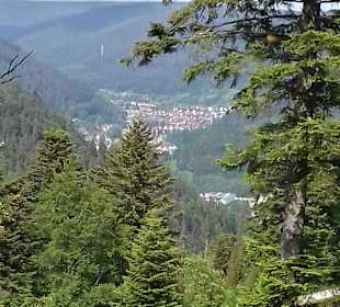 Wandern Bad Wildbad