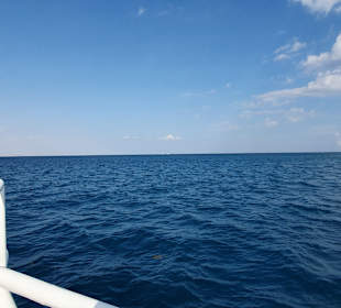 Glasbodenboot Tour Hurghada