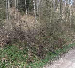 Geologischer Lehrpfad Kirnbachtal