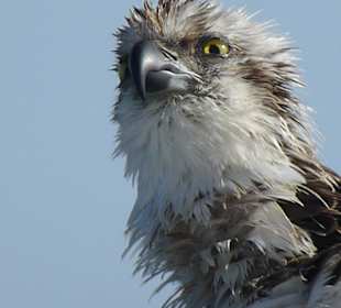 War mit auf den Boot, unglaublich 