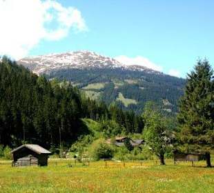 Malerwinkel beim "Grünen Baum"
