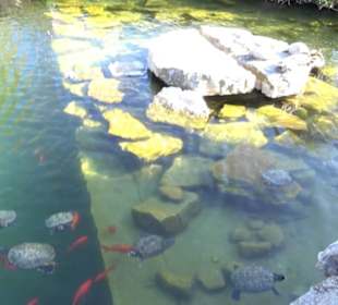 Panorama Therme Beuren
