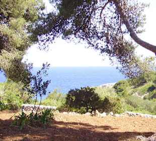Ausblick bei den Drachenhöhlen