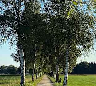 Wandern Bernau am Chiemsee