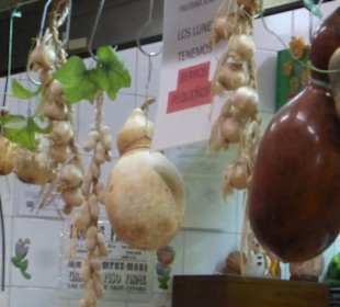 Unterwegs in der Markthalle von Gáldar