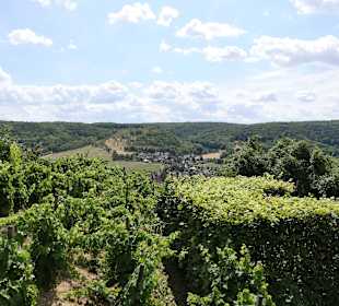 Rokoko-Schloß Dornburg