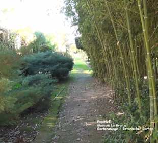 Gartenanlage - Botanischer Garten