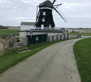 Wandern Pellworm