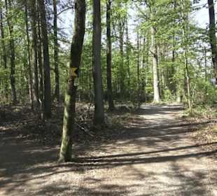 Wanderweg Hochgehwachsen