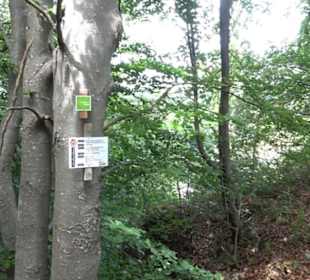 Hochgeträumt Premiumwanderung