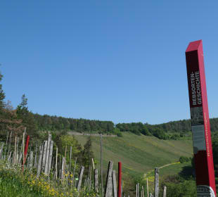 Terroir f in den Weinbergen von Ramsthal
